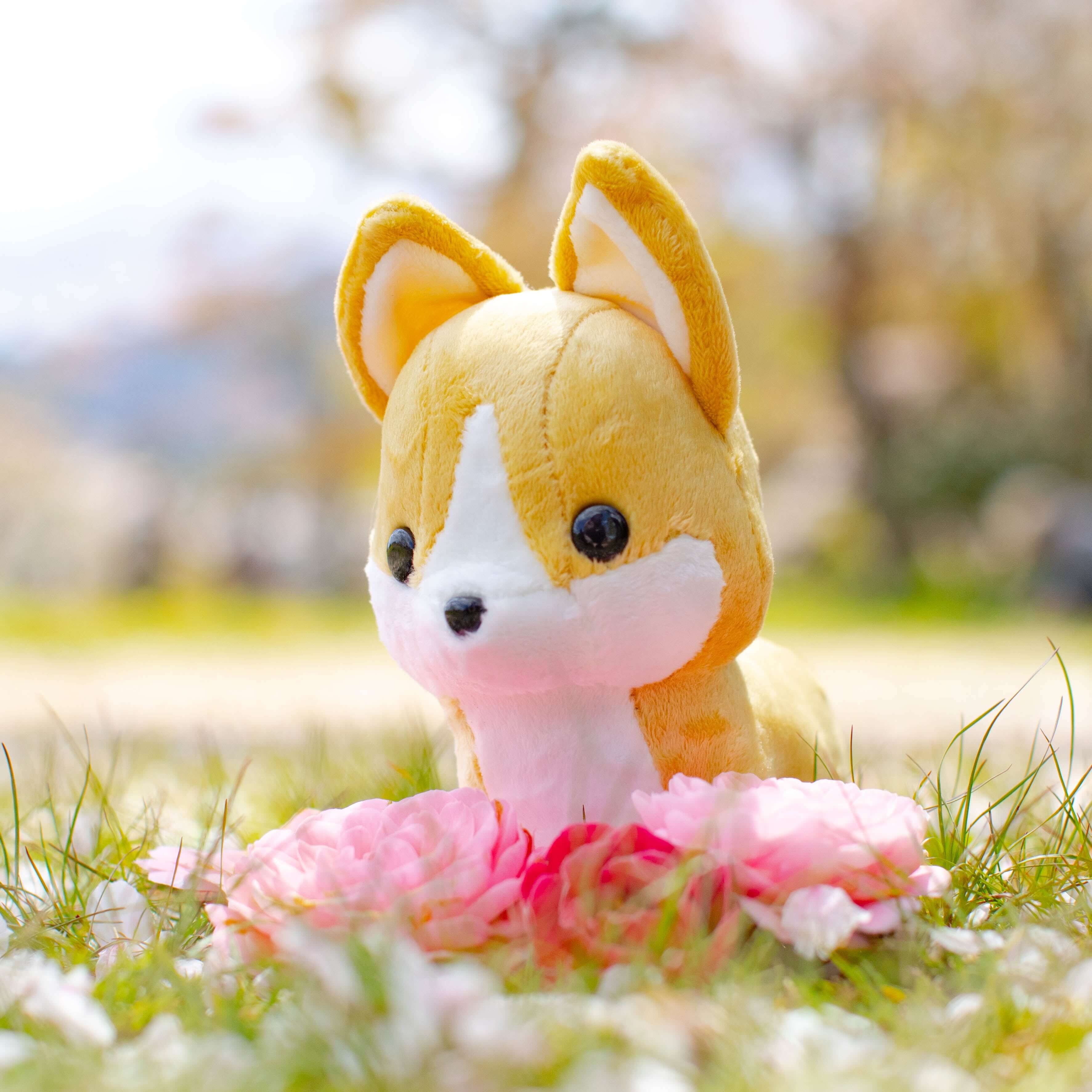 Mini Corgi the Dog - Image 7