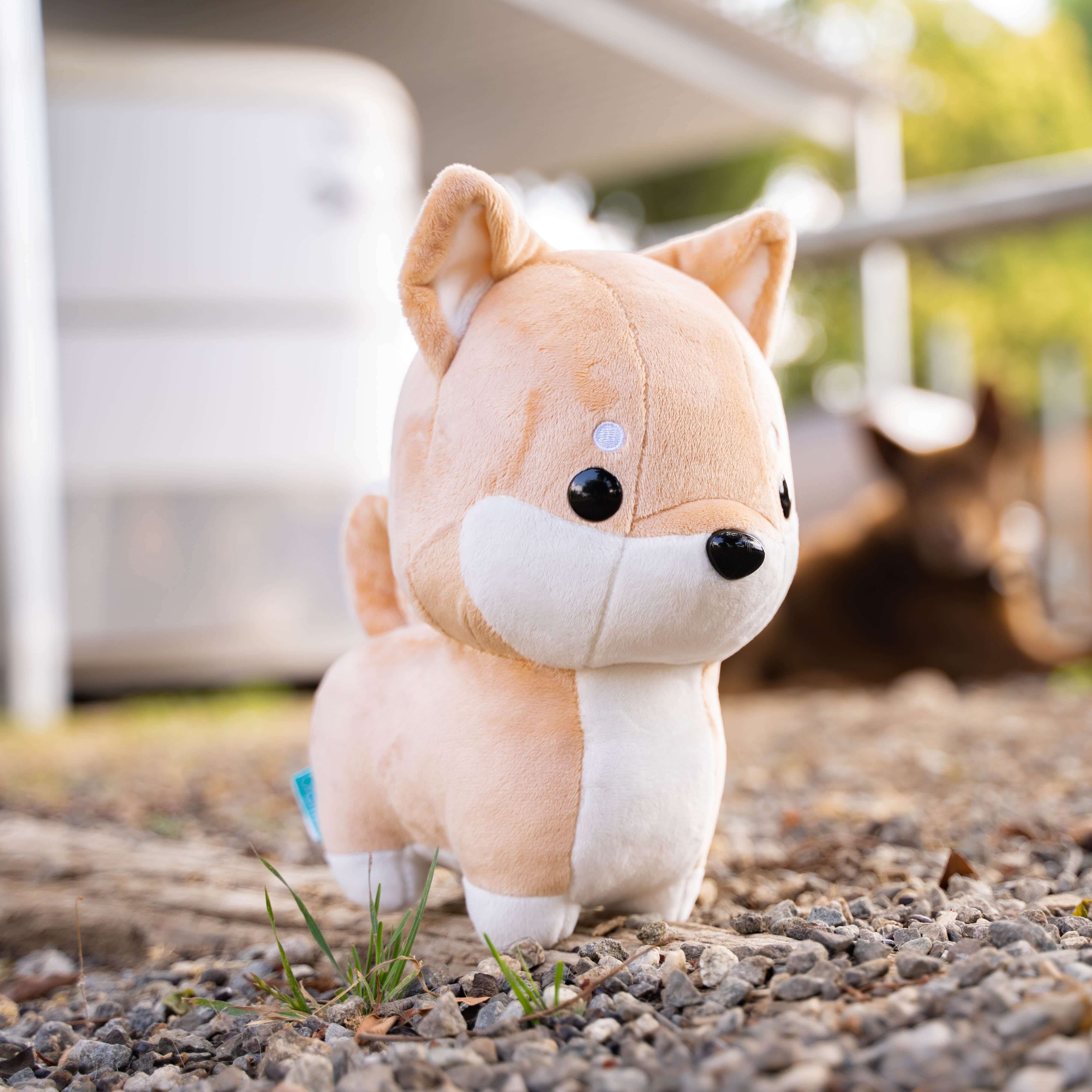 Shibi the Shiba Inu - Image 6