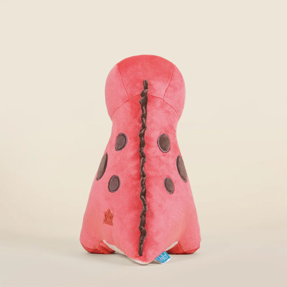 Rexxi the T-Rex - Image 4